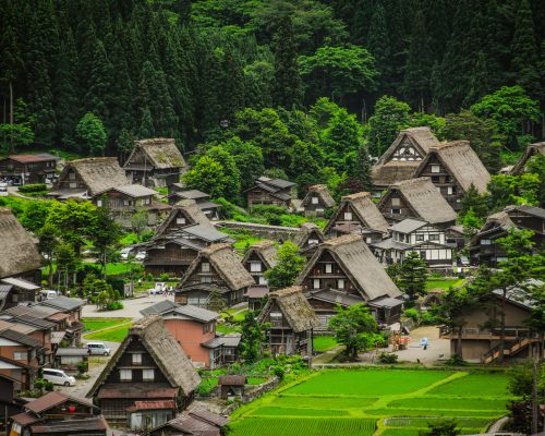 Japan Visa | Japanese Language Courses | Student Visa | SSW Visa | Working Visa