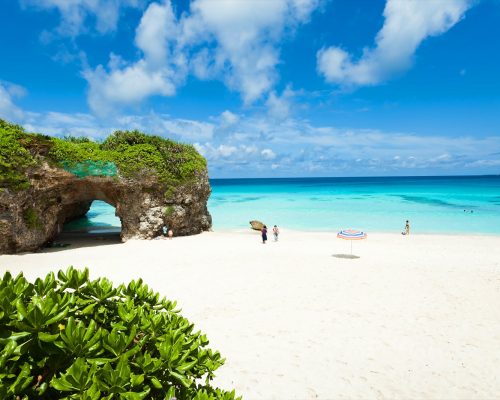 Japan Visa | Japanese Language Courses | Student Visa | SSW Visa | Working Visa