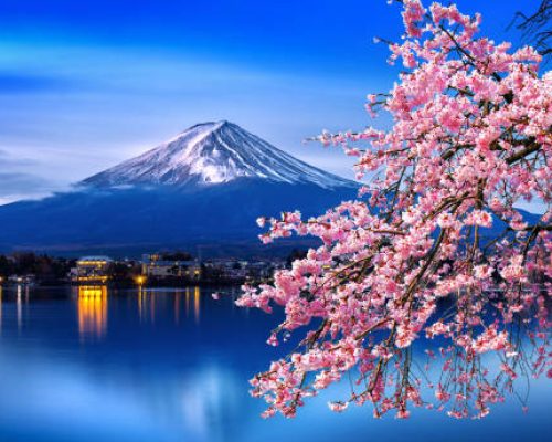 Japan Visa | Japanese Language Courses | Student Visa | SSW Visa | Working Visa