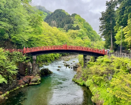 Japan Visa | Japanese Language Courses | Student Visa | SSW Visa | Working Visa